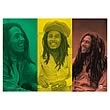 Bob Marley Rasta Collage Fabric Poster Wall Hanging